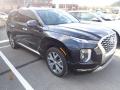 2021 Palisade Limited AWD #2 2021 Palisade Limited AWD #2