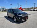 2017 Explorer XLT 4WD #3 2017 Explorer XLT 4WD #3