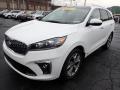 2019 Sorento SX AWD #4