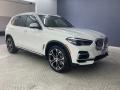 Front 3/4 View of 2022 BMW X5 sDrive40i #27