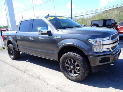 Magnetic Ford F150 Platinum SuperCrew 4x4.  Click to enlarge.