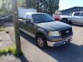2006 F150 XLT Regular Cab #2