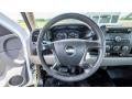  2010 Chevrolet Silverado 1500 Regular Cab Steering Wheel #25