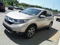 2019 CR-V EX AWD #6 2019 CR-V EX AWD #6