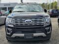 2019 Expedition Limited 4x4 #2