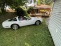 1991 Corvette Coupe #16