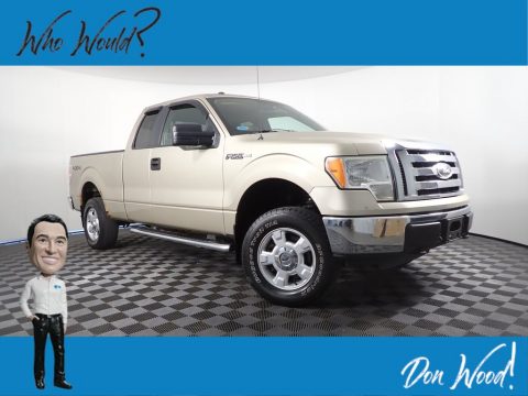 Pueblo Gold Metallic Ford F150 XLT SuperCab 4x4.  Click to enlarge.