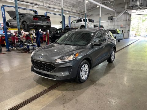 Magnetic Metallic Ford Escape SE 4WD.  Click to enlarge.