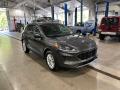 2020 Escape SE 4WD #2