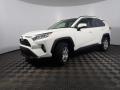 2019 RAV4 XLE #8