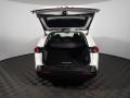 2019 RAV4 XLE #14