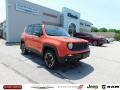 2017 Renegade Trailhawk 4x4 #1