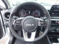 2022 Forte LXS #19