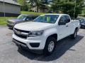 2019 Colorado WT Extended Cab #2