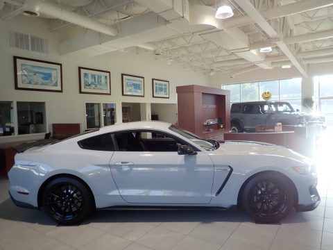 Avalanche Gray Ford Mustang Shelby GT350.  Click to enlarge.