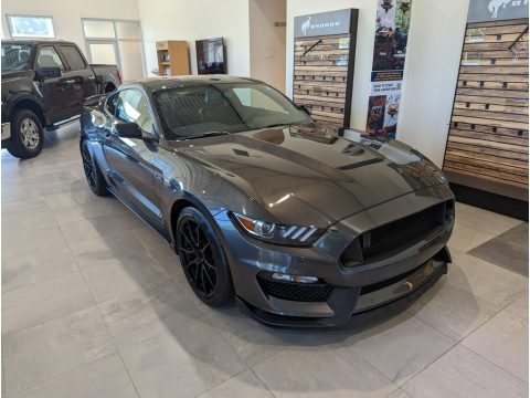 Magnetic Ford Mustang Shelby GT350.  Click to enlarge.