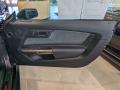 Door Panel of 2019 Ford Mustang Shelby GT350 #21