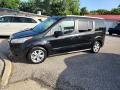  2014 Ford Transit Connect Panther Black #5