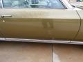 Door Panel of 1972 Chevrolet Monte Carlo  #11