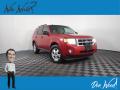 2010 Escape XLT #1 2010 Escape XLT #1