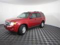 2010 Escape XLT #4 2010 Escape XLT #4