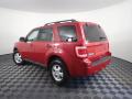 2010 Escape XLT #6 2010 Escape XLT #6