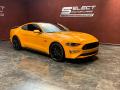 2019 Mustang GT Premium Fastback #3