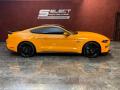 2019 Mustang GT Premium Fastback #4