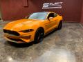2019 Mustang GT Premium Fastback #6