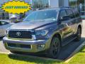 2019 Sequoia TRD Sport 4x4 #1