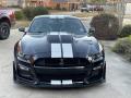 2020 Mustang Shelby GT500 #2