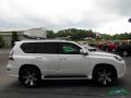 2014 GX 460 Luxury #6