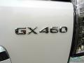 2014 GX 460 Luxury #27