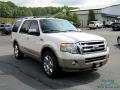 2013 Expedition XLT #7