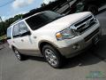 2013 Expedition XLT #30