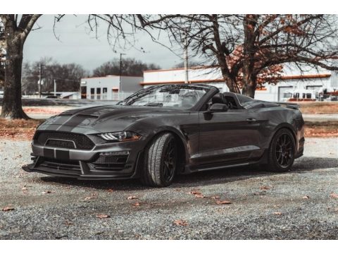 Carbonized Gray Metallic Ford Mustang Shelby Super Snake Speedster.  Click to enlarge.
