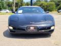 1998 Corvette Convertible #8