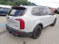 2021 Telluride SX AWD #8