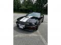 2007 Mustang Shelby GT Coupe #2