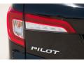 2019 Pilot EX #10