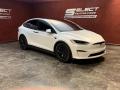 Front 3/4 View of 2022 Tesla Model X Plaid #3