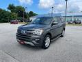 2018 Expedition XLT 4x4 #1 2018 Expedition XLT 4x4 #1