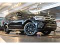  2022 Ford Expedition Agate Black Metallic #8