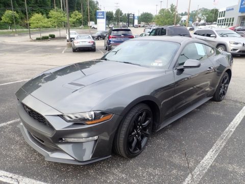 Magnetic Ford Mustang EcoBoost Fastback.  Click to enlarge.