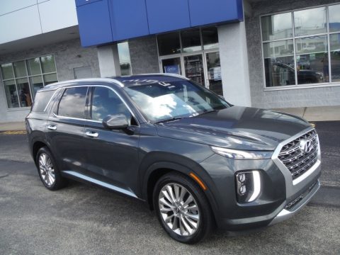 Rainforest Hyundai Palisade Limited AWD.  Click to enlarge.