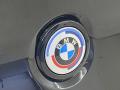  2022 BMW X4 Logo #7