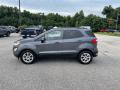 2019 EcoSport SE #8 2019 EcoSport SE #8