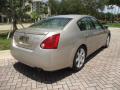 2006 Maxima 3.5 SE #9