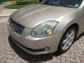 2006 Maxima 3.5 SE #24