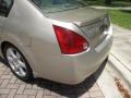 2006 Maxima 3.5 SE #30